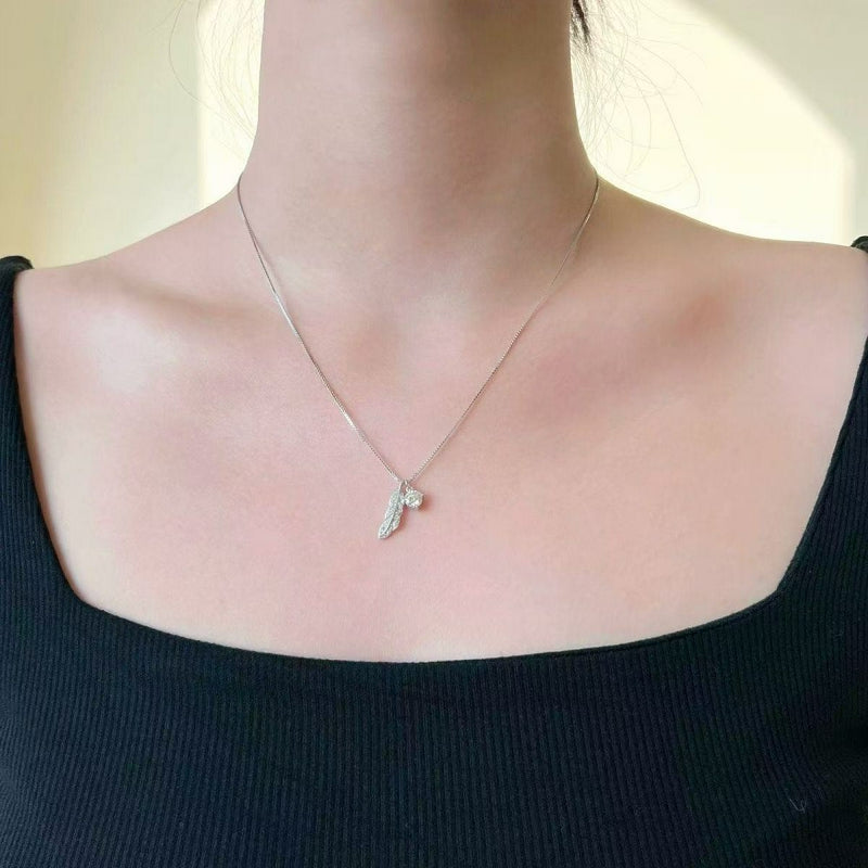 Collar Protección